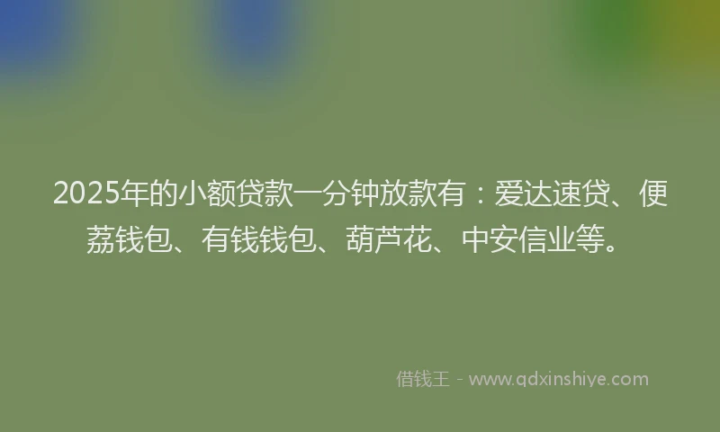 2025年的小额贷款一分钟放款有：爱达速贷、便荔钱包、有钱钱包、葫芦花、中安信业等。