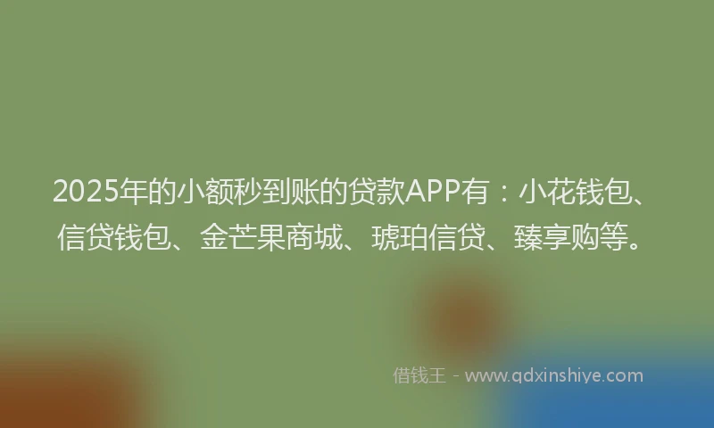 2025年的小额秒到账的贷款APP有：小花钱包、信贷钱包、金芒果商城、琥珀信贷、臻享购等。