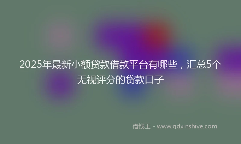 2025年最新小额贷款借款平台有哪些，汇总5个无视评分的贷款口子