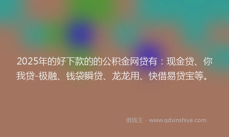 2025年的好下款的的公积金网贷有：现金贷、你我贷-极融、钱袋瞬贷、龙龙用、快借易贷宝等。