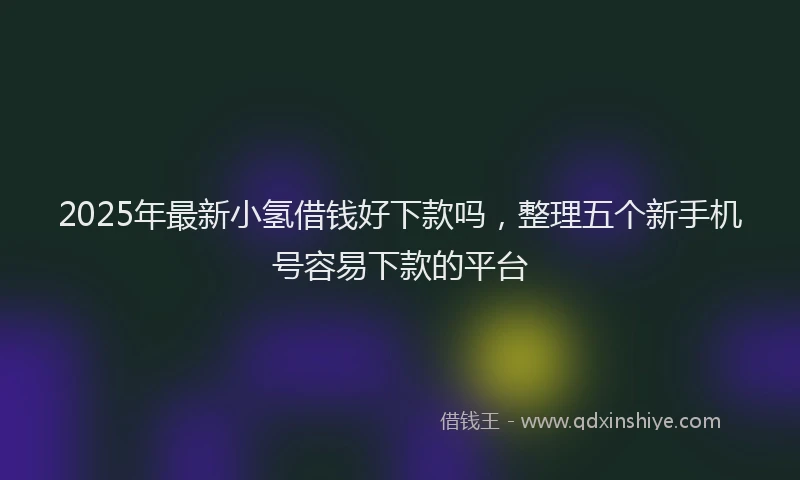 2025年最新小氢借钱好下款吗，整理五个新手机号容易下款的平台