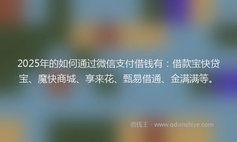 2025年的如何通过微信支付借钱有：借款宝快贷宝、魔快商城、享来花、甄易借通、金满满等。