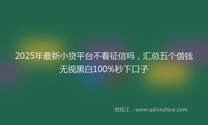 2025年最新小贷平台不看征信吗，汇总五个借钱无视黑白100%秒下口子