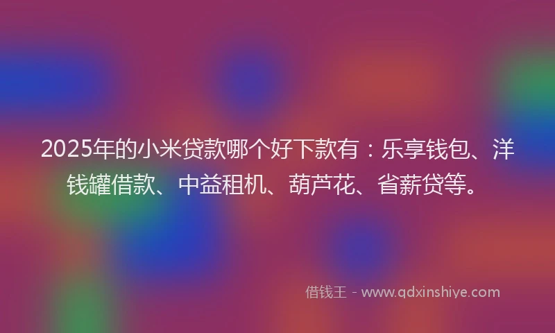 2025年的小米贷款哪个好下款有：乐享钱包、洋钱罐借款、中益租机、葫芦花、省薪贷等。