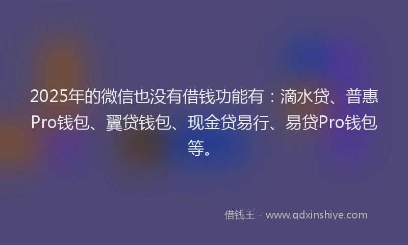 2025年的微信也没有借钱功能有：滴水贷、普惠Pro钱包、翼贷钱包、现金贷易行、易贷Pro钱包等。