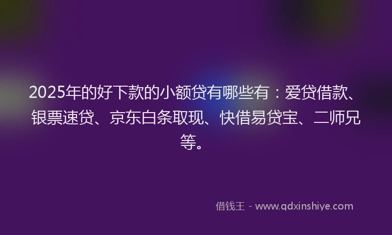 2025年的好下款的小额贷有哪些有：爱贷借款、银票速贷、京东白条取现、快借易贷宝、二师兄等。