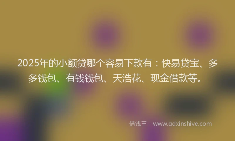2025年的小额贷哪个容易下款有：快易贷宝、多多钱包、有钱钱包、天浩花、现金借款等。