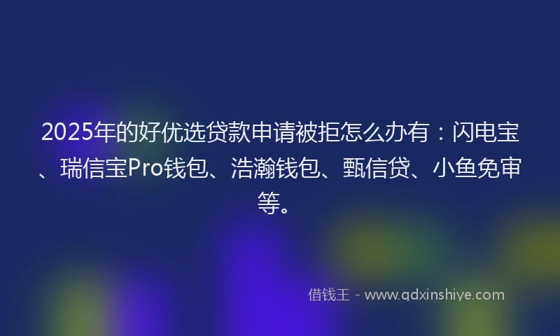 2025年的好优选贷款申请被拒怎么办有：闪电宝、瑞信宝Pro钱包、浩瀚钱包、甄信贷、小鱼免审等。