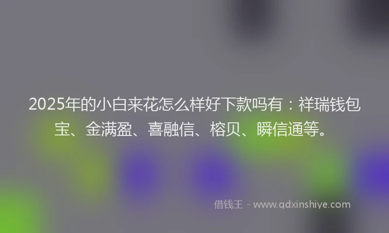 2025年的小白来花怎么样好下款吗有：祥瑞钱包宝、金满盈、喜融信、榕贝、瞬信通等。