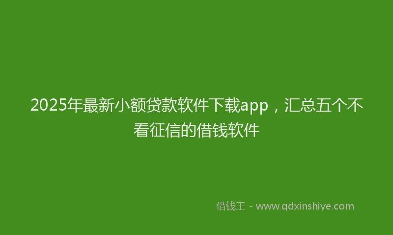 2025年最新小额贷款软件下载app，汇总五个不看征信的借钱软件