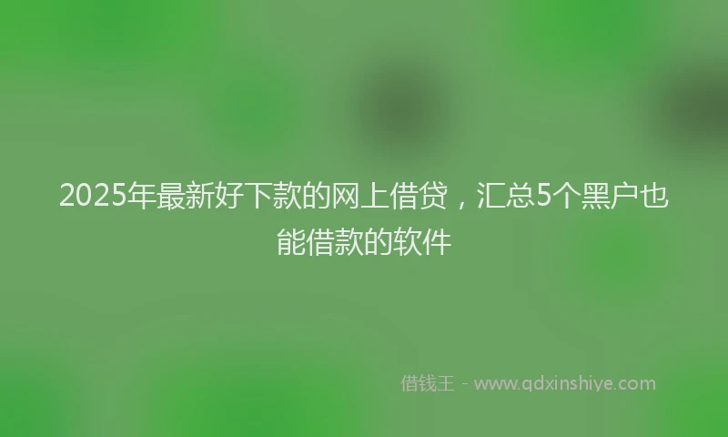 2025年最新好下款的网上借贷，汇总5个黑户也能借款的软件