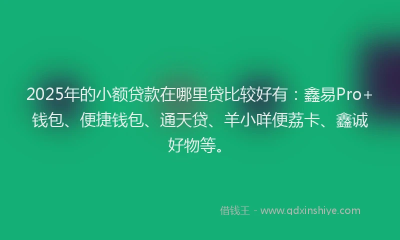 2025年的小额贷款在哪里贷比较好有：鑫易Pro+钱包、便捷钱包、通天贷、羊小咩便荔卡、鑫诚好物等。