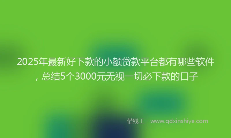2025年最新好下款的小额贷款平台都有哪些软件，总结5个3000元无视一切必下款的口子