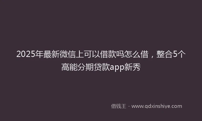 2025年最新微信上可以借款吗怎么借，整合5个高能分期贷款app新秀