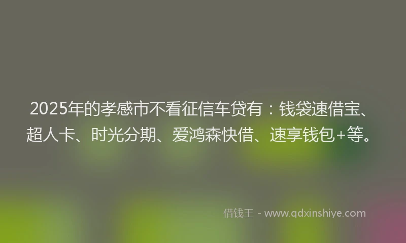 2025年的孝感市不看征信车贷有：钱袋速借宝、超人卡、时光分期、爱鸿森快借、速享钱包+等。