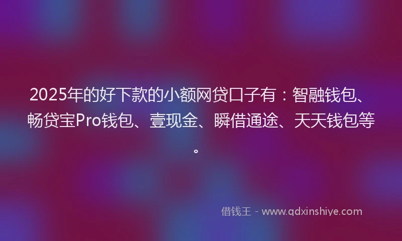 2025年的好下款的小额网贷口子有：智融钱包、畅贷宝Pro钱包、壹现金、瞬借通途、天天钱包等。