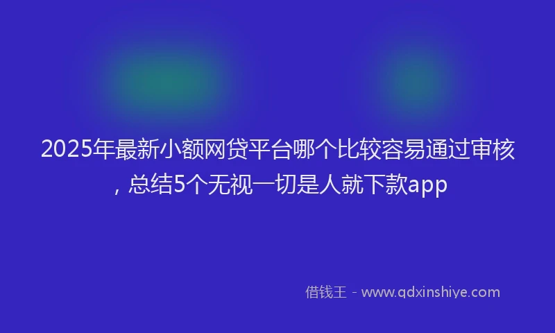 2025年最新小额网贷平台哪个比较容易通过审核，总结5个无视一切是人就下款app