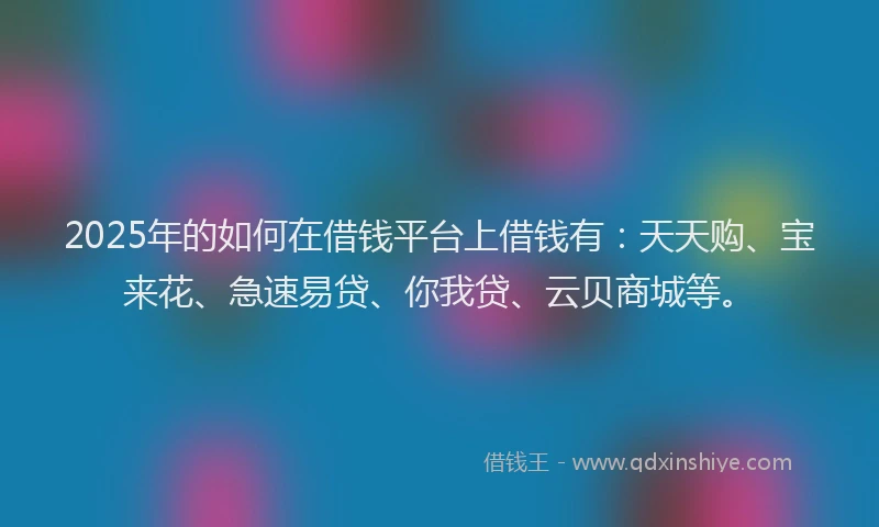 2025年的如何在借钱平台上借钱有：天天购、宝来花、急速易贷、你我贷、云贝商城等。