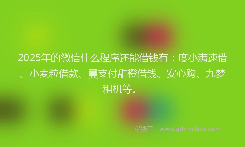 2025年的微信什么程序还能借钱有：度小满速借、小麦粒借款、翼支付甜橙借钱、安心购、九梦租机等。