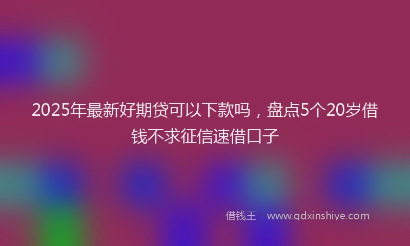 2025年最新好期贷可以下款吗，盘点5个20岁借钱不求征信速借口子