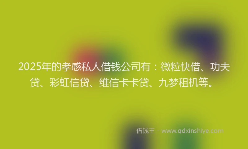 2025年的孝感私人借钱公司有：微粒快借、功夫贷、彩虹信贷、维信卡卡贷、九梦租机等。