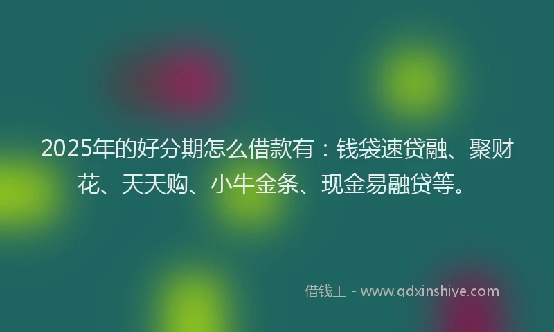 2025年的好分期怎么借款有：钱袋速贷融、聚财花、天天购、小牛金条、现金易融贷等。