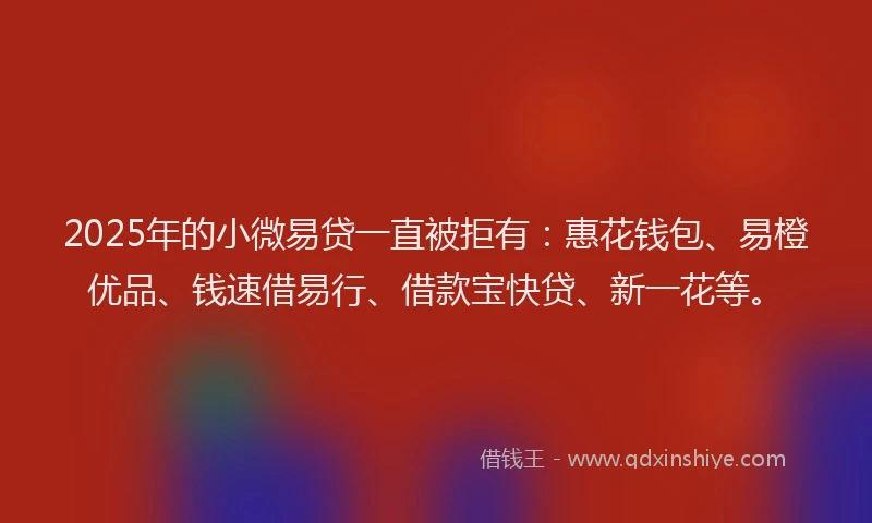 2025年的小微易贷一直被拒有：惠花钱包、易橙优品、钱速借易行、借款宝快贷、新一花等。