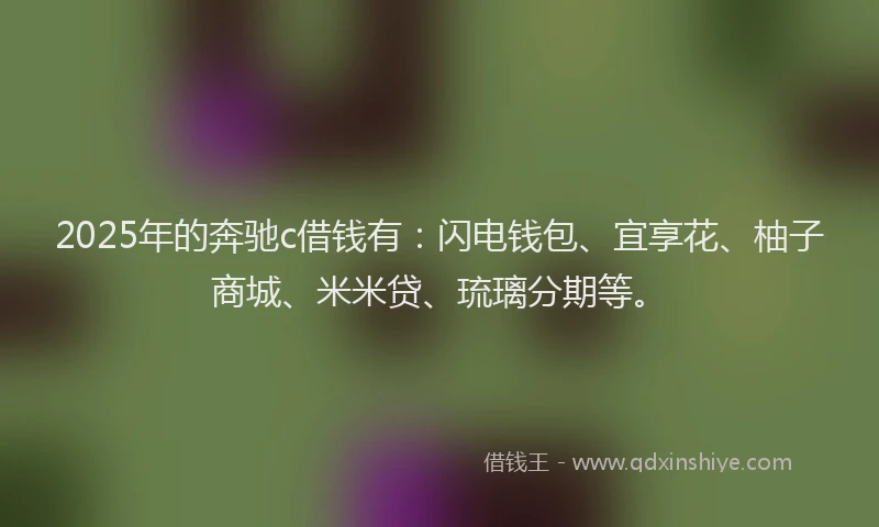 2025年的奔驰c借钱有：闪电钱包、宜享花、柚子商城、米米贷、琉璃分期等。
