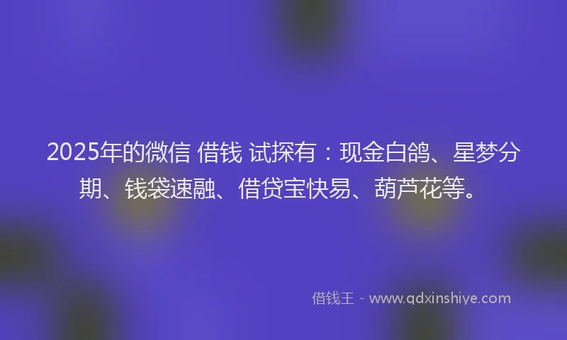 2025年的微信 借钱 试探有：现金白鸽、星梦分期、钱袋速融、借贷宝快易、葫芦花等。