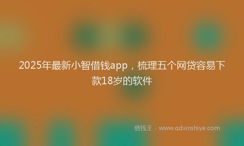 2025年最新小智借钱app，梳理五个网贷容易下款18岁的软件