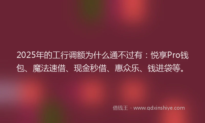 2025年的工行调额为什么通不过有：悦享Pro钱包、魔法速借、现金秒借、惠众乐、钱进袋等。