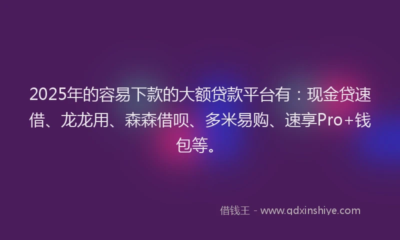 2025年的容易下款的大额贷款平台有：现金贷速借、龙龙用、森森借呗、多米易购、速享Pro+钱包等。