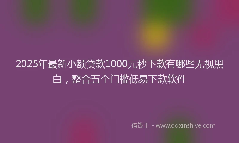 2025年最新小额贷款1000元秒下款有哪些无视黑白，整合五个门槛低易下款软件
