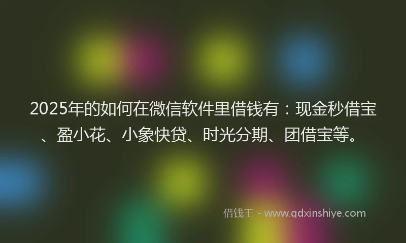 2025年的如何在微信软件里借钱有：现金秒借宝、盈小花、小象快贷、时光分期、团借宝等。
