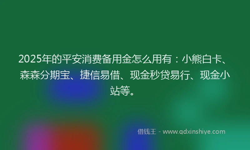 2025年的平安消费备用金怎么用有：小熊白卡、森森分期宝、捷信易借、现金秒贷易行、现金小站等。