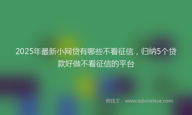2025年最新小网贷有哪些不看征信，归纳5个贷款好做不看征信的平台
