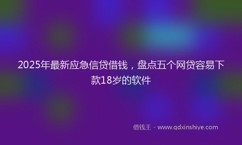 2025年最新应急信贷借钱，盘点五个网贷容易下款18岁的软件