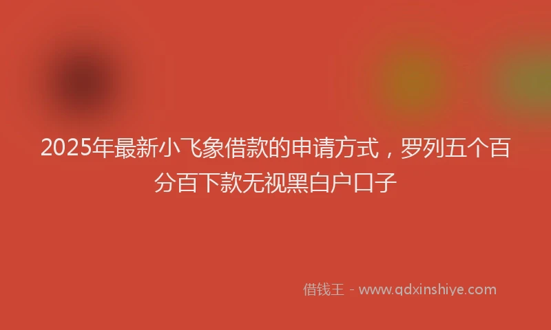 2025年最新小飞象借款的申请方式，罗列五个百分百下款无视黑白户口子