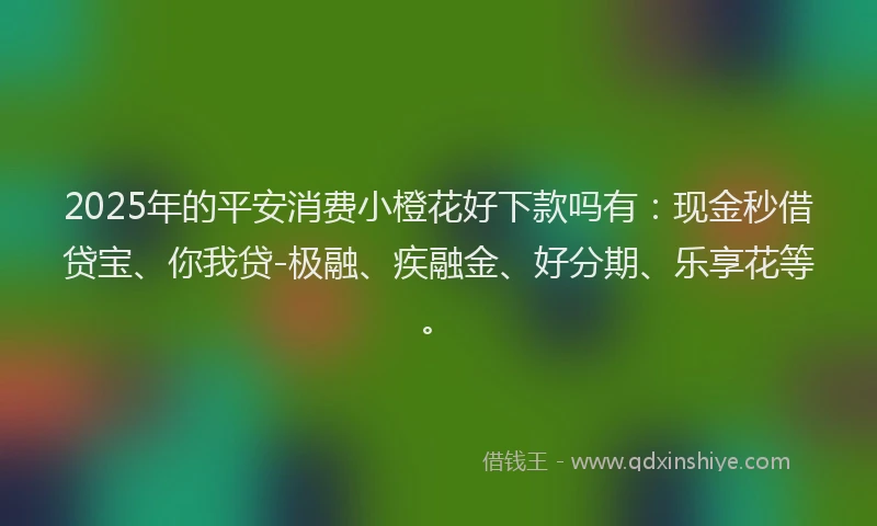 2025年的平安消费小橙花好下款吗有：现金秒借贷宝、你我贷-极融、疾融金、好分期、乐享花等。