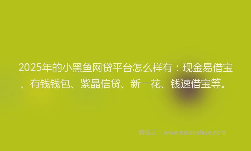 2025年的小黑鱼网贷平台怎么样有：现金易借宝、有钱钱包、紫晶信贷、新一花、钱速借宝等。