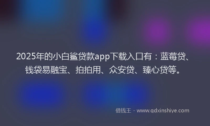 2025年的小白鲨贷款app下载入口有：蓝莓贷、钱袋易融宝、拍拍用、众安贷、臻心贷等。