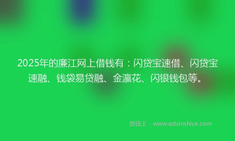 2025年的廉江网上借钱有：闪贷宝速借、闪贷宝速融、钱袋易贷融、金瀛花、闪银钱包等。