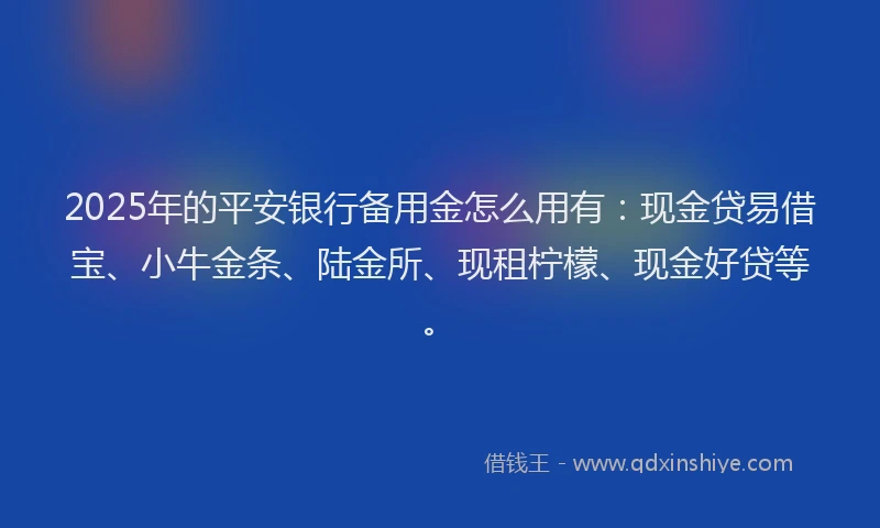 2025年的平安银行备用金怎么用有：现金贷易借宝、小牛金条、陆金所、现租柠檬、现金好贷等。