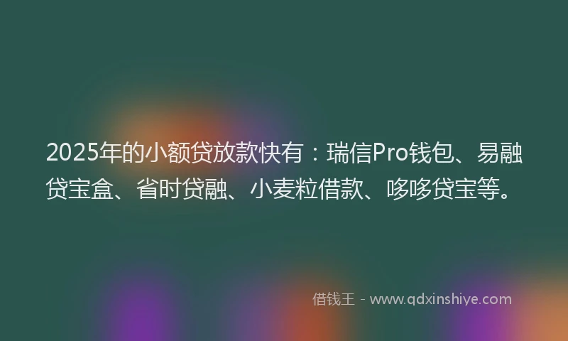 2025年的小额贷放款快有：瑞信Pro钱包、易融贷宝盒、省时贷融、小麦粒借款、哆哆贷宝等。