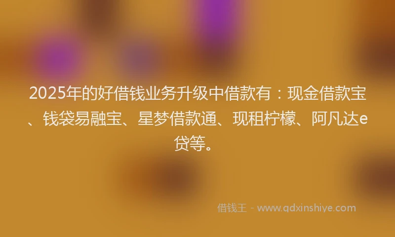 2025年的好借钱业务升级中借款有：现金借款宝、钱袋易融宝、星梦借款通、现租柠檬、阿凡达e贷等。