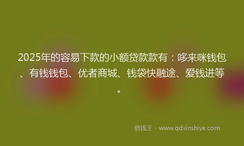 2025年的容易下款的小额贷款款有：哆来咪钱包、有钱钱包、优者商城、钱袋快融途、爱钱进等。