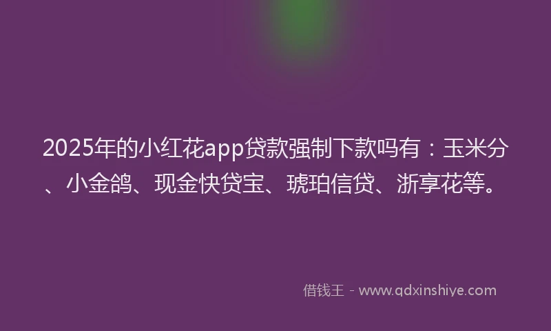2025年的小红花app贷款强制下款吗有：玉米分、小金鸽、现金快贷宝、琥珀信贷、浙享花等。