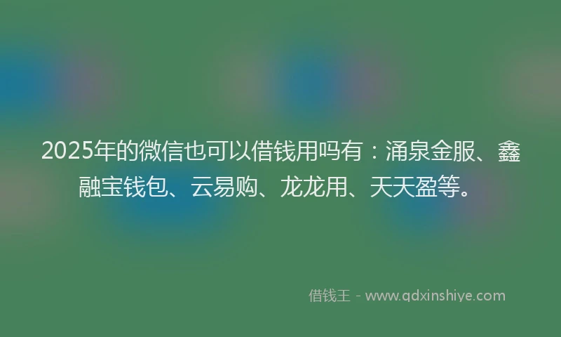 2025年的微信也可以借钱用吗有：涌泉金服、鑫融宝钱包、云易购、龙龙用、天天盈等。