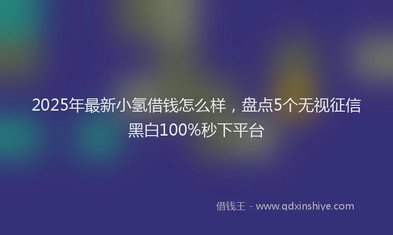 2025年最新小氢借钱怎么样，盘点5个无视征信黑白100%秒下平台