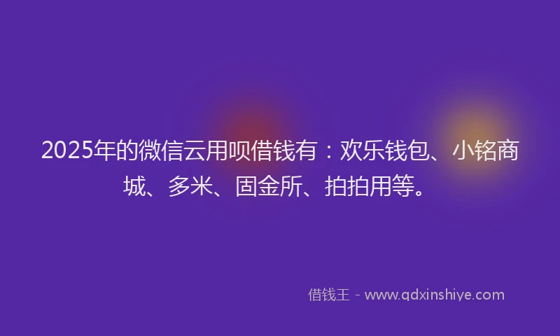 2025年的微信云用呗借钱有：欢乐钱包、小铭商城、多米、固金所、拍拍用等。